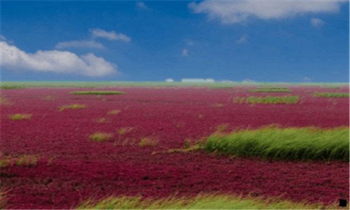 一粉象生活双十一预售