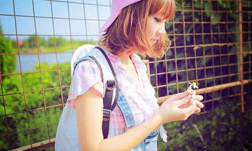 一粉象生活和花生日记比较
