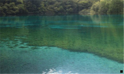 二粉象生活
