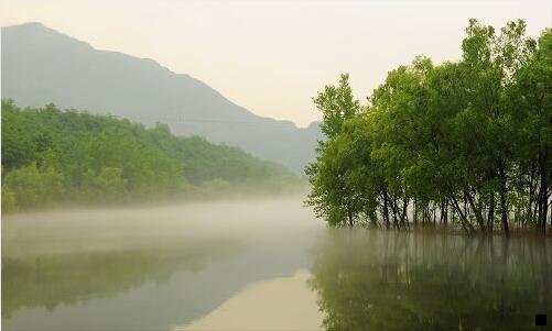 三粉象生活解除邀请人