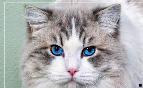 二粉象生活和好省