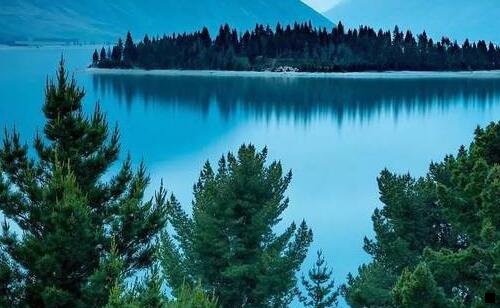 一粉象生活合伙人是永久的吗