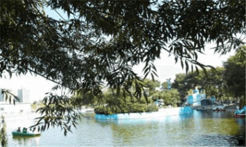 一粉象生活可信吗