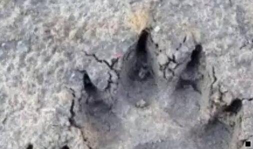 一如何解除与粉象生活的微信绑定