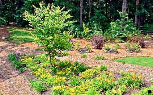 一粉象生活的购物车在哪里呢