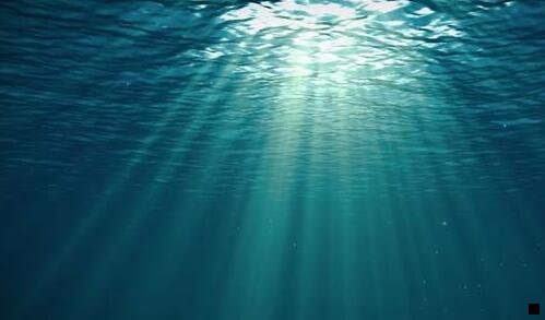 三粉象什么时候成立