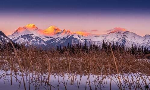 二马云如何评价粉象生活的