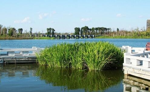 二粉象生活可以自己注册吗