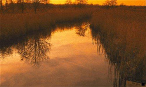 一粉象生活劣势缺点