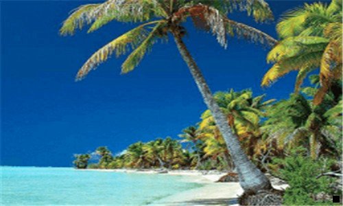 二粉象生活是个什么东西