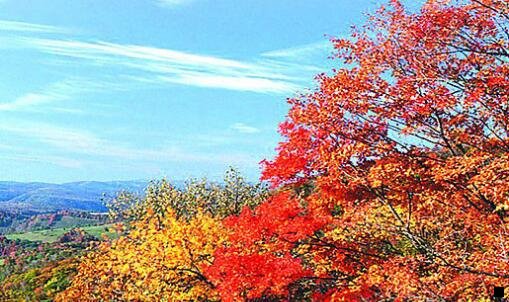 一粉象生活注册注册