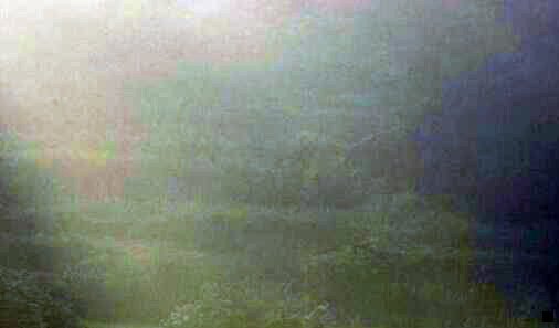 三粉象生活邀请码自己做