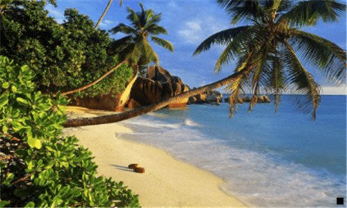 三粉象生活怎么分享优惠券