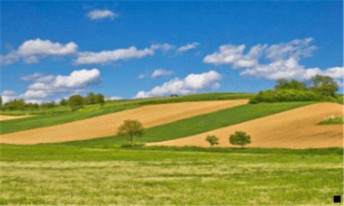 二粉象100个专属粉