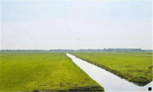 二粉象生活二维码是一样的吗