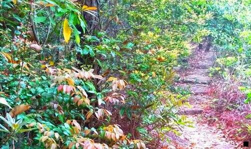 一粉象生活怎退出登录