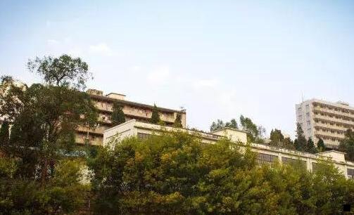 二粉象生活怎么登录不上