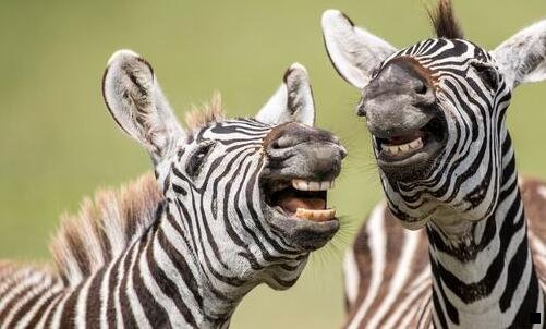 一粉象生活账号怎么注销