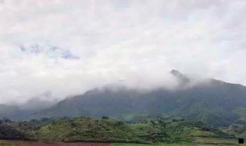 二粉象app是如何挣钱的