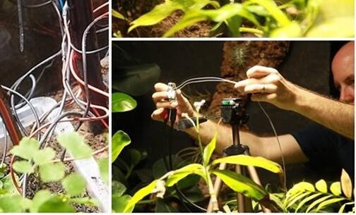 一粉象生活新浪博客