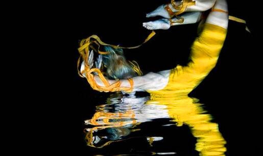 二粉象生活怎么注销绑定