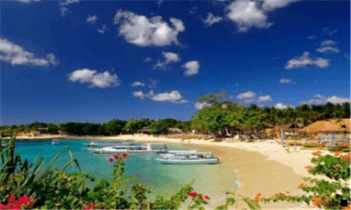 二粉象生活是个什么东西