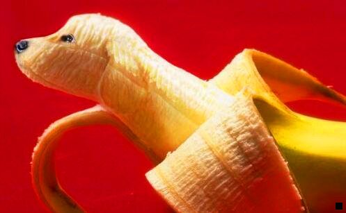 二粉象生活为啥要邀请码