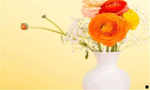 三如何成为粉象合伙人