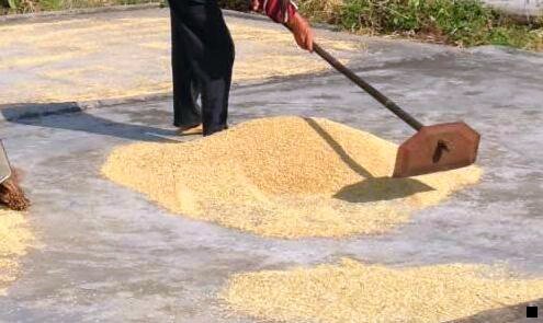 三粉象生活返佣规则