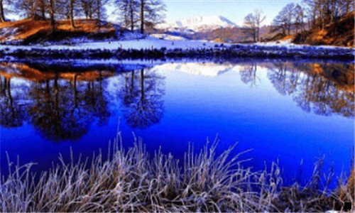 二粉象生活活动奖励什么意思