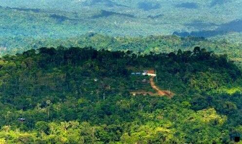 二高佣联盟和粉象生活app哪个好