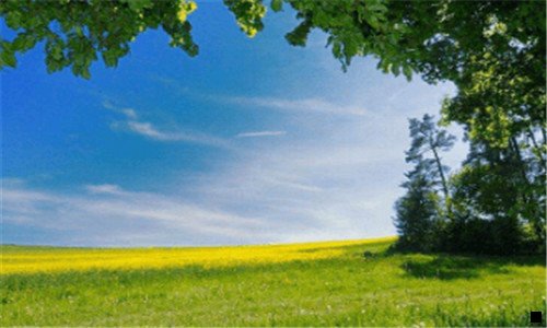 二粉象生活闪闪的真名叫什么