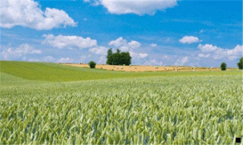 三怎么开通粉象vip