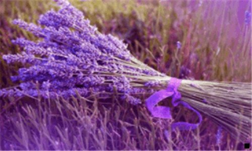 一粉象生活等还有哪些