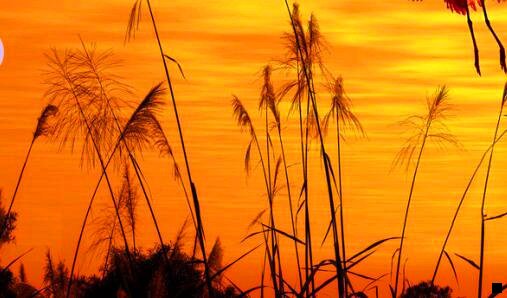 二粉象生活其实不便宜