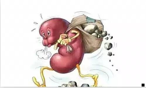 三粉象生活到底靠谱吗