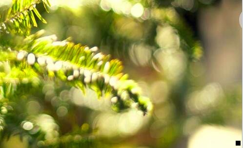 三粉象合伙人是永久的吗