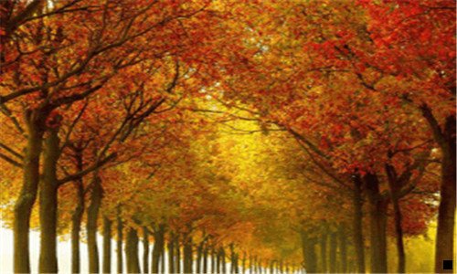 三粉象生活上级知道下级