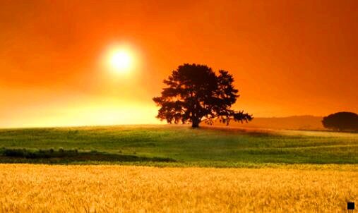 二马云如何评价粉象生活的