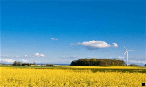 二推广高佣联盟还是粉象