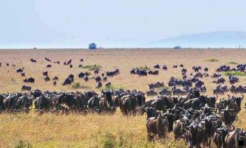 一粉象生活更改名字