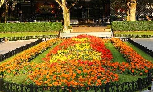 三粉象生活最低提现金额多少