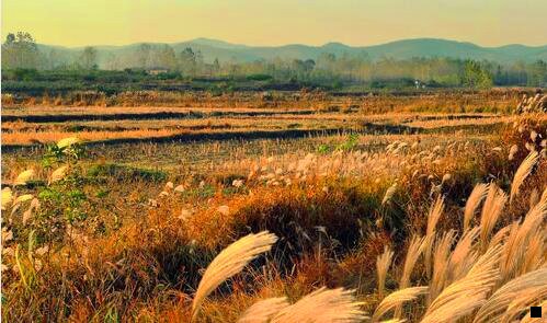 一粉象生活靠谱不