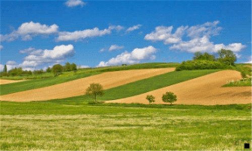 一粉象生活怎么用不了淘宝金了呢