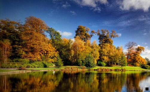 一粉象生活邀请荐703371码