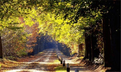 二粉象全国加油优惠是真假