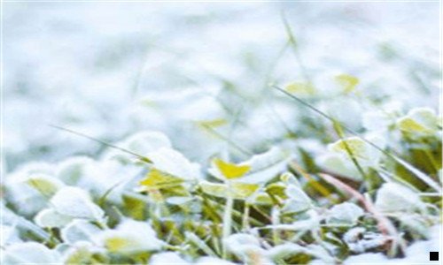 三粉象生活为啥有优惠券