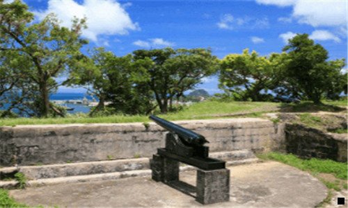 三芝麻鲸选与粉象生活的区别