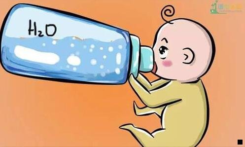 一粉象生活和省大师哪个好