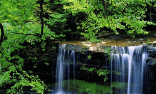 二粉象生活是个什么东西